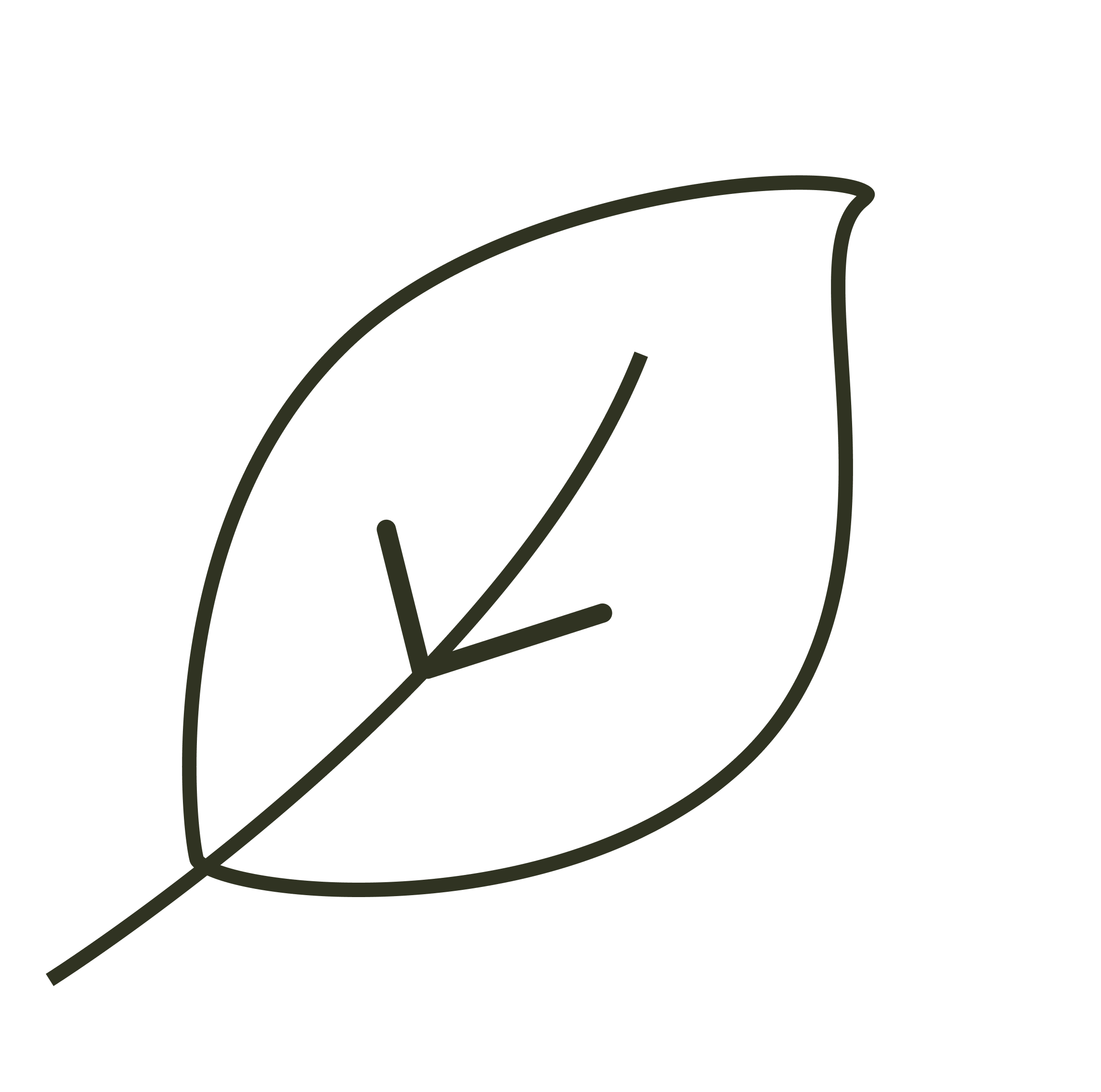 Leaf icon